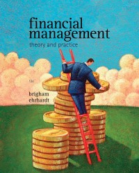 Image of Financial management: theory and practice