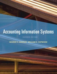 Image of Accounting information systems