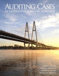 Image of Auditing cases : an interactive learning approach