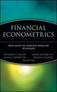 Image of Financial econometrics : from basics to advanced modeling techniques