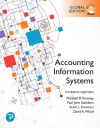 Image of Accounting information systems