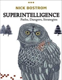 Image of Superintelligence: paths, dangers, strategies